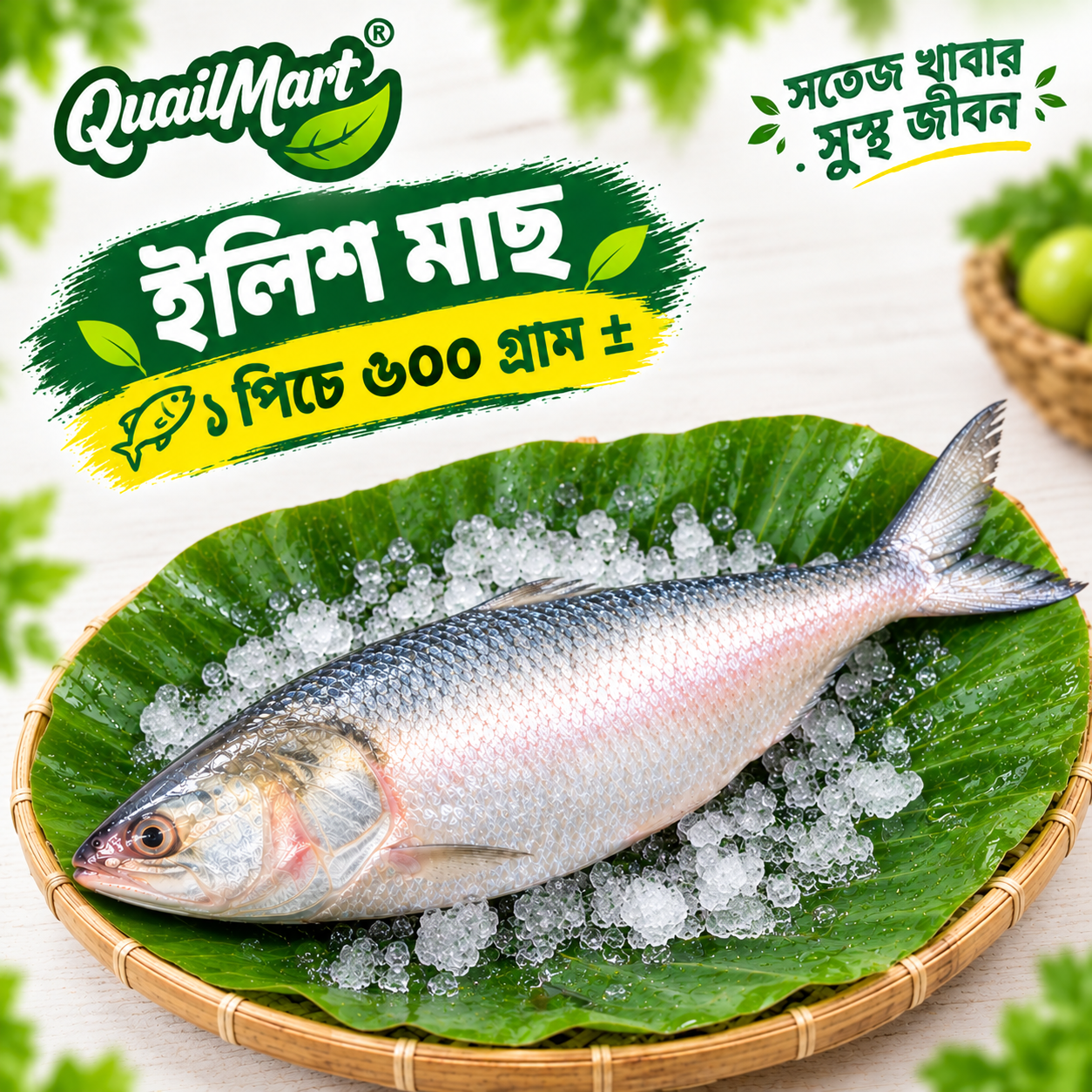 ilish